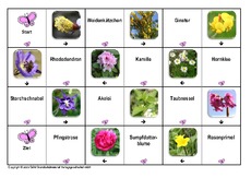 Domino-Frühlingsblüten-4.pdf